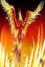 Phoenix - Phượng Hoàng Lửa